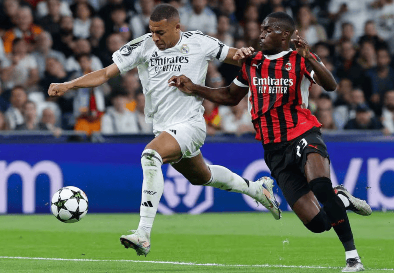 德米特里 德米特里