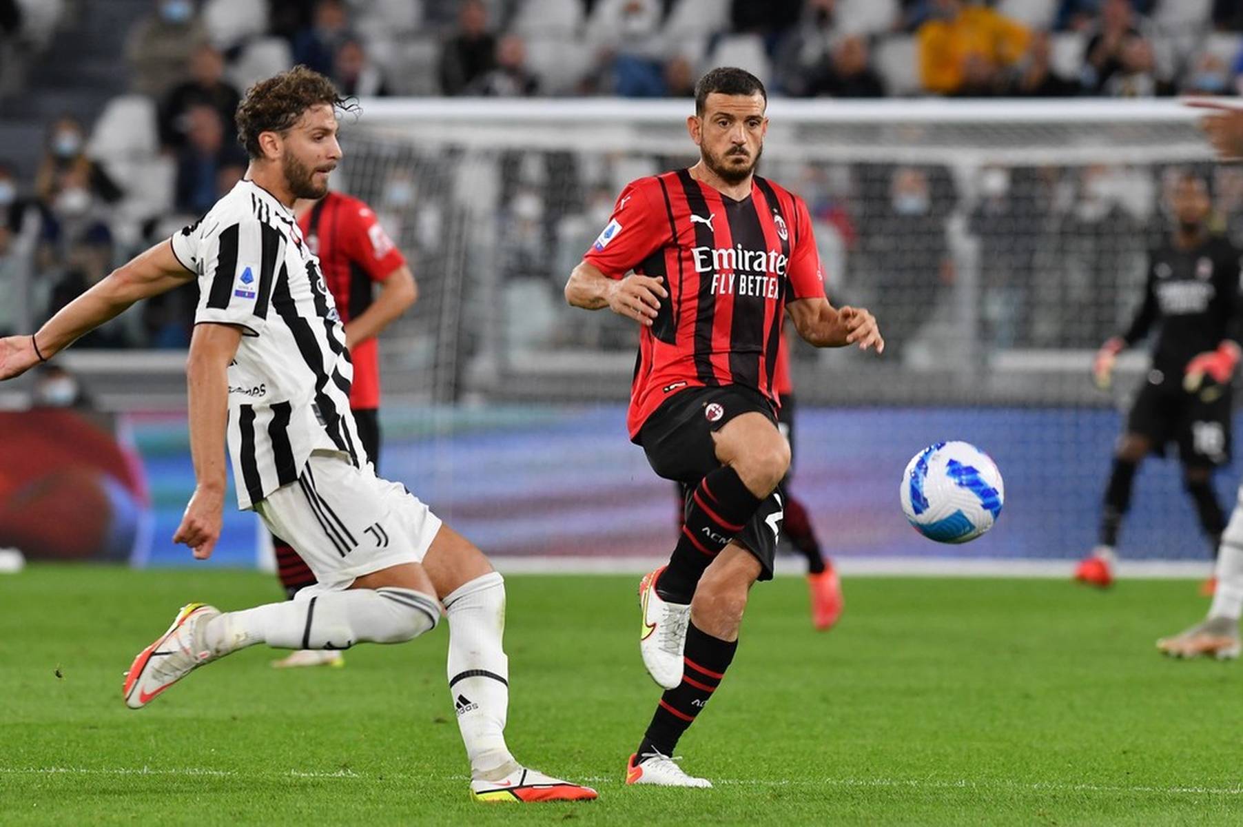 毛球培养计 毛球培养计