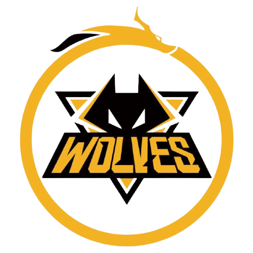 这种双向能 这种双向能